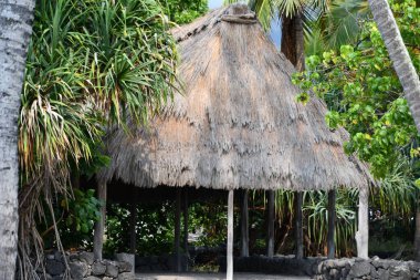HONAUNAU, HI - 11 AUG: Puuhonua O Honaunau Ulusal Tarih Parkı, Hawaii, Honaunau, Büyük Ada, 11 Ağustos 2022 'de görüldüğü gibi.