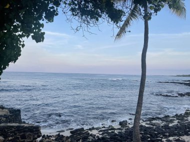 Hawaii 'deki Büyük Ada' da, Kailua Kona 'da Lyman Plajı