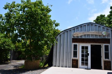 KAILUA-KONA HI - 11 Ağustos 2022 'de Hawaii' deki Büyük Ada Kailua-Kona 'daki Vanilya Çiftliği' nde görüldüğü gibi.