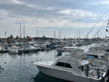 KAILUA KONA HI - 14 AUG; Honokohau Küçük Tekne Limanı Büyük Hawaii Adası, Kailua Kona, 14 Ağustos 2022.