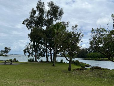 HILO HI - 15 Ağustos 2022 'de Hawaii' deki Büyük Ada açıklarındaki Hilo Körfezi 'ndeki Coconut Adası' nın (Mokuola) görüntüsü.