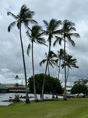 HILO HI - 15 Ağustos 2022 'de Hawaii' deki Büyük Ada açıklarındaki Hilo Körfezi 'ndeki Coconut Adası' nın (Mokuola) görüntüsü.