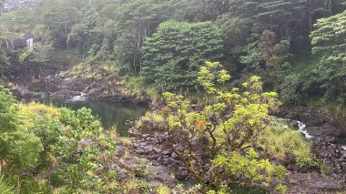 Hawaii 'deki Hilo' daki Wailuku Nehri Parkı 'nda Kaynayan Tencereler