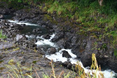 Hawaii 'deki Hilo' daki Wailuku Nehri Parkı 'nda Kaynayan Tencereler