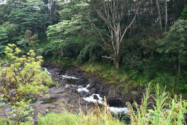 Hawaii 'deki Hilo' daki Wailuku Nehri Parkı 'nda Kaynayan Tencereler