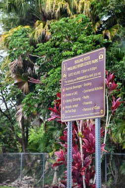 HILO HI - 15 AUG: 15 Ağustos 2022 'de Hawaii' deki Hilo 'daki Wailuku Nehri Eyalet Parkı' nda kaynatma kapları.