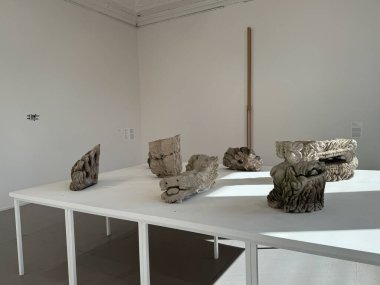 Long Island City, NY - 8 SEP: MoMA PS1 'de Sert Zemin sergisi (Modern Sanat Müzesi - Not: = = Güncel Olaylar = = Long Island City, New York 'ta 8 Eylül 2024 tarihinde görüldüğü gibi.