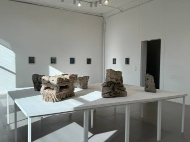 Long Island City, NY - 8 SEP: MoMA PS1 'de Sert Zemin sergisi (Modern Sanat Müzesi - Not: = = Güncel Olaylar = = Long Island City, New York 'ta 8 Eylül 2024 tarihinde görüldüğü gibi.