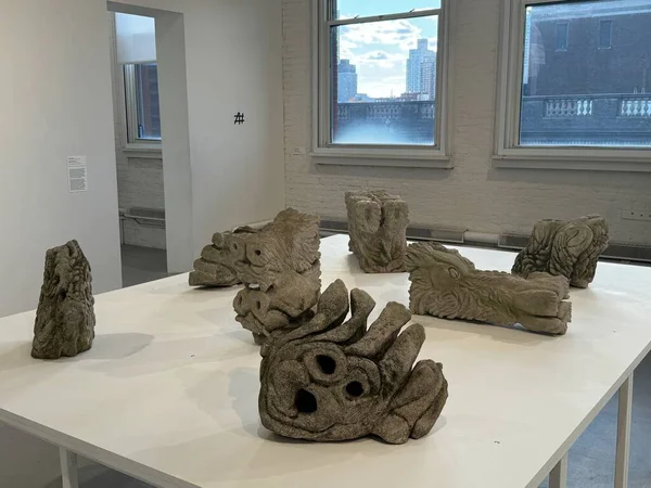 Long Island City, NY - 8 SEP: MoMA PS1 'de Sert Zemin sergisi (Modern Sanat Müzesi - Not: = = Güncel Olaylar = = Long Island City, New York 'ta 8 Eylül 2024 tarihinde görüldüğü gibi.