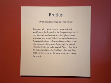 WASHINGTON DC - 5 Temmuz 2025 'te Washington DC' deki İncil Müzesi 'nde görülen Megiddo Mozaiği İnanç Vakıfları sergisi.