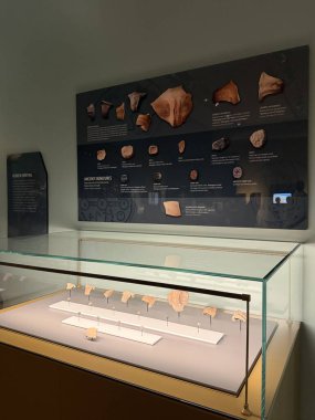 WASHINGTON DC - 5 Temmuz 2025 'te Washington DC' deki İncil Müzesi 'nde Kara Halkı sergisi.