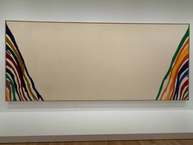 WASHINGTON DC - 5 Temmuz 2025 'te Washington' daki Smithsonian Amerikan Sanat Müzesi 'nde sergi.