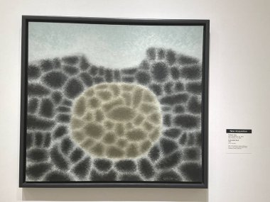 WASHINGTON DC - 5 Temmuz 2025 'te Washington' daki Smithsonian Amerikan Sanat Müzesi 'nde sergi.