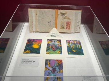 WASHINGTON DC - 6 Temmuz 2025 'te Washington DC' deki Ulusal Kadın Müzesi 'nde (NMWA) Radikal Alterasyon sergisi.