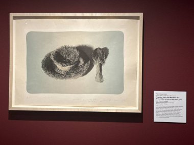 WASHINGTON DC - 6 Temmuz 2025 'te Washington DC' deki Ulusal Kadın Müzesi 'nde (NMWA) sergi.