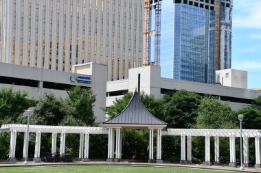 1 Temmuz 2021 'de Charlotte, Kuzey Carolina' daki Romare Bearden Parkı 'nda görüldü..