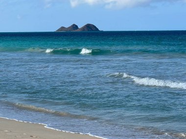 Waimanalo Sahili, Waimanalo 'daki Sherwood Ormanı' nda Hawaii 'deki Oahu Adası' nda.