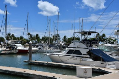 KAPOLEI HI - 22 AUG 2022 'de Oahu, Hawaii' deki Kapolei 'de Ko Olina Marina' da görüldü..
