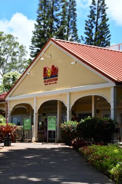 WAHIAWA HI - 21 Ağustos 2022 'de Hawaii' nin Oahu adasında, Wahiawa 'daki Dole Plantation.