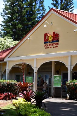 WAHIAWA HI - 21 Ağustos 2022 'de Hawaii' nin Oahu adasında, Wahiawa 'daki Dole Plantation.