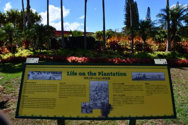 WAHIAWA HI - 21 AUG: 21 Ağustos 2022 'de Hawaii' nin Oahu adasındaki Dole Plantation at Wahiawa 'da görülen çiftlik bahçesi.
