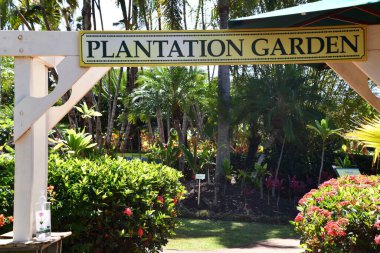 WAHIAWA HI - 21 AUG: 21 Ağustos 2022 'de Hawaii' nin Oahu adasındaki Dole Plantation at Wahiawa 'da görülen çiftlik bahçesi.