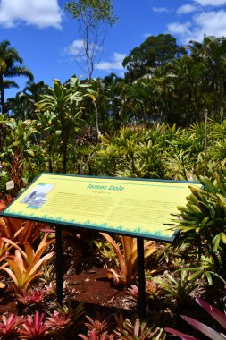 WAHIAWA HI - 21 AUG: 21 Ağustos 2022 'de Hawaii' nin Oahu adasındaki Dole Plantation at Wahiawa 'da görülen çiftlik bahçesi.