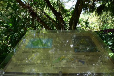 WAHIAWA HI - 21 AUG Wahiawa Botanik Bahçesi Hawaii 'deki Oahu adasında, 21 Ağustos 2022' de görüldüğü gibi.