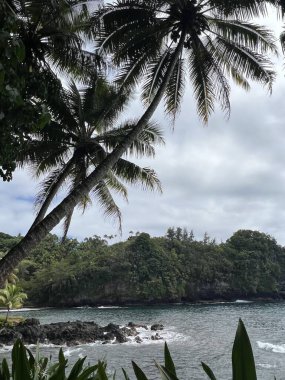Hawaii Tropikal Botanik Bahçesi 'nden Onomea Körfezi manzarası, Papaikou, Hawaii' deki Büyük Ada