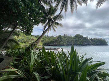 Hawaii Tropikal Botanik Bahçesi 'nden Onomea Körfezi manzarası, Papaikou, Hawaii' deki Büyük Ada