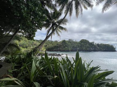 Hawaii Tropikal Botanik Bahçesi 'nden Onomea Körfezi manzarası, Papaikou, Hawaii' deki Büyük Ada