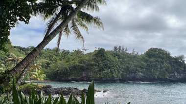 Hawaii Tropikal Botanik Bahçesi 'nden Onomea Körfezi manzarası, Papaikou, Hawaii' deki Büyük Ada