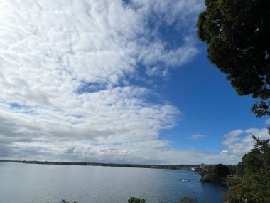 Hawaii 'deki Büyük Ada' da Wainaku 'dan Pasifik Okyanusu manzarası