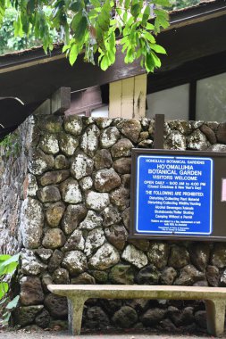 OAHU HI - 25 Ağustos 2022 'de Hawaii' deki Oahu adasında Hoomaluhia Botanik Bahçesi 'nde görüldü..