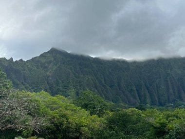 Hawaii 'deki Oahu adasındaki Hoomaluhia Botanik Bahçesi' nden Koolau Dağları manzarası