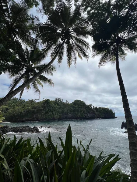 Hawaii Tropikal Botanik Bahçesi 'nden Onomea Körfezi manzarası, Papaikou, Hawaii' deki Büyük Ada