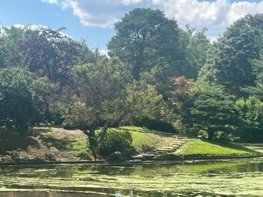 ST LOUIS MO - 9 Temmuz 2023 'te Missouri Botanik Bahçesi' nde görülen alg çiçeği..