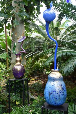 ST LOUIS MO - 9 Temmuz 2023 'te Missouri Botanik Bahçesinde Dale Chihuly sergisi açıldı..