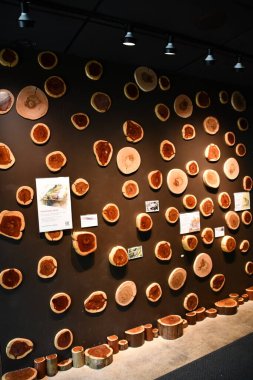 St. Louis, Missouri 'deki Missouri Botanik Bahçesi, 9 Temmuz 2023.