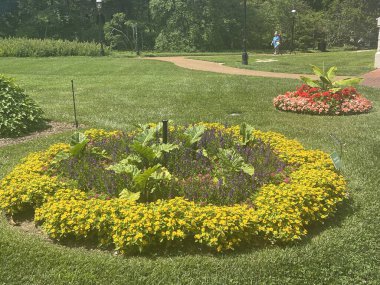 St. Louis, Missouri 'deki Missouri Botanik Bahçesi, 9 Temmuz 2023.