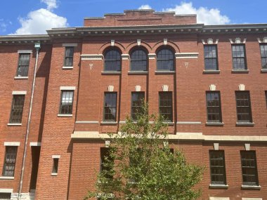 St. Louis, Missouri 'deki Missouri Botanik Bahçesi, 9 Temmuz 2023.