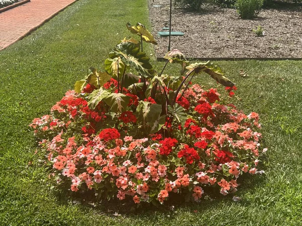 St. Louis, Missouri 'deki Missouri Botanik Bahçesi, 9 Temmuz 2023.