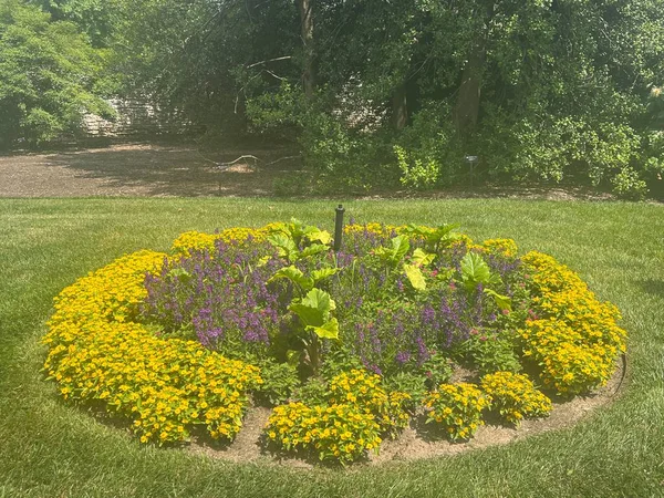 St. Louis, Missouri 'deki Missouri Botanik Bahçesi, 9 Temmuz 2023.