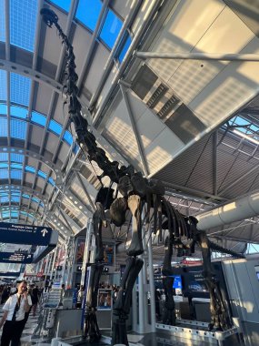 CHICAGO IL - 10 Temmuz 2023 'te Chicago, Illinois' deki OHare ORD Uluslararası Havalimanı 'ndaki Terminal Binası.