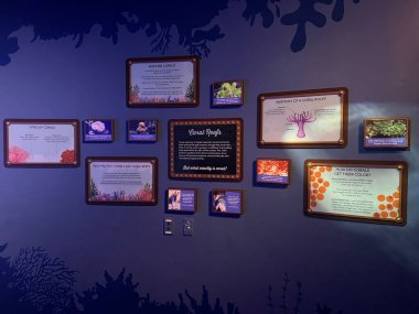 ST LOUIS MO - 9 Temmuz 2023 'te Missouri Union İstasyonu' ndaki St. Louis Akvaryumu 'nda sergi.