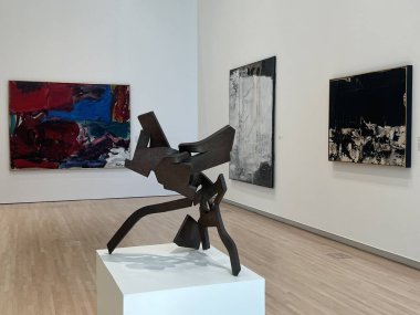 ST LOUIS MO - 9 Temmuz 2023 'te Washington Üniversitesi' nde Mildred Lane Kemper Sanat Müzesi 'nde sergilendi..