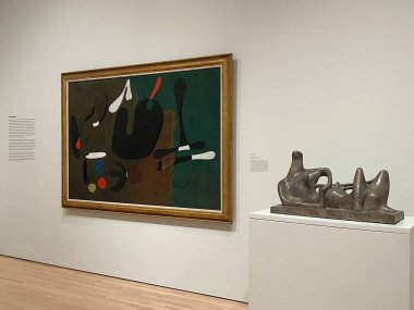 ST LOUIS MO - 9 Temmuz 2023 'te Washington Üniversitesi' nde Mildred Lane Kemper Sanat Müzesi 'nde sergilendi..