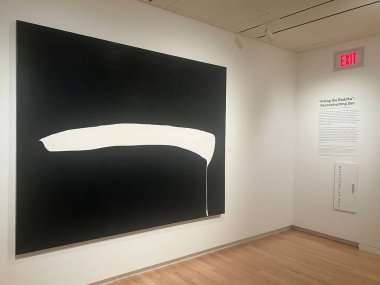 ST LOUIS MO - 9 Temmuz 2023 'te Washington Üniversitesi' nde Mildred Lane Kemper Sanat Müzesi 'nde sergilendi..