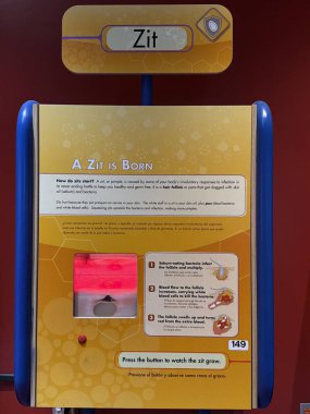 PHOENIX, AZ - NOV 26: All About Me sergisi Phoenix, Arizona 'daki Arizona Bilim Merkezi' nde, 26 Kasım 2025 'te görüldüğü gibi.