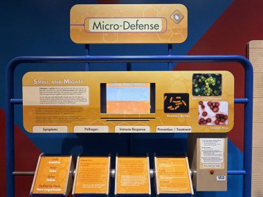 PHOENIX, AZ - NOV 26: All About Me sergisi Phoenix, Arizona 'daki Arizona Bilim Merkezi' nde, 26 Kasım 2025 'te görüldüğü gibi.